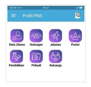 klik cek profil PNS