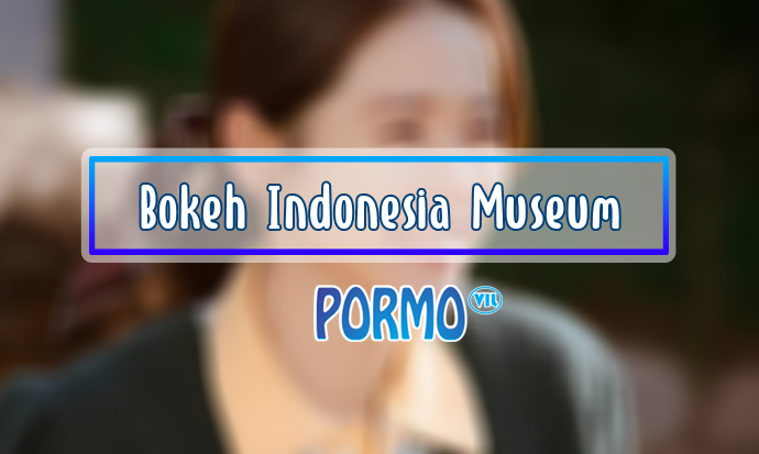 Bokeh-Indonesia-Museum