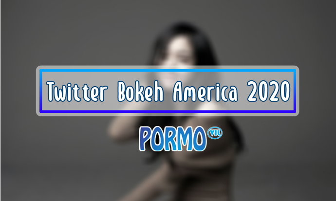 Twitter Bokeh America 2020