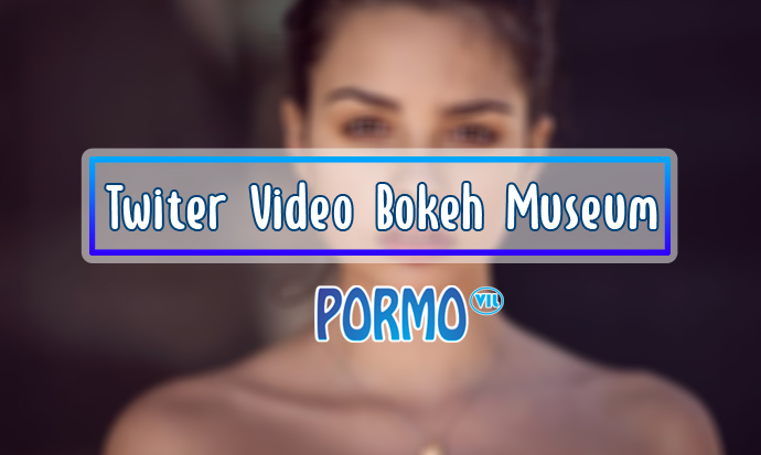 Twiter-Video-Bokeh-Museum