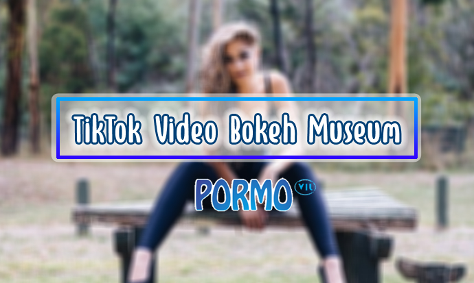 TikTok-Video-Bokeh-Museum